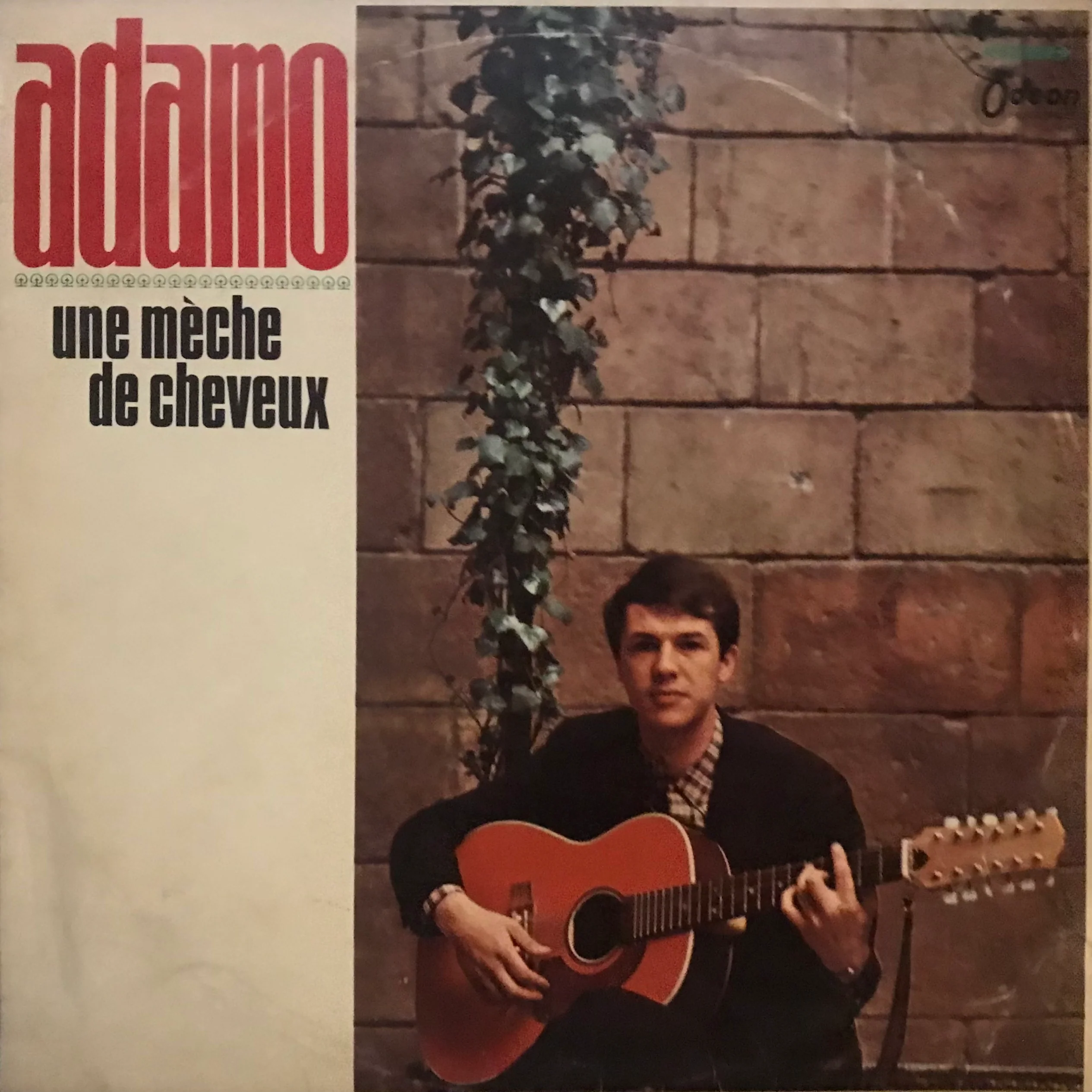 Adamo Une Mèche de cheveux