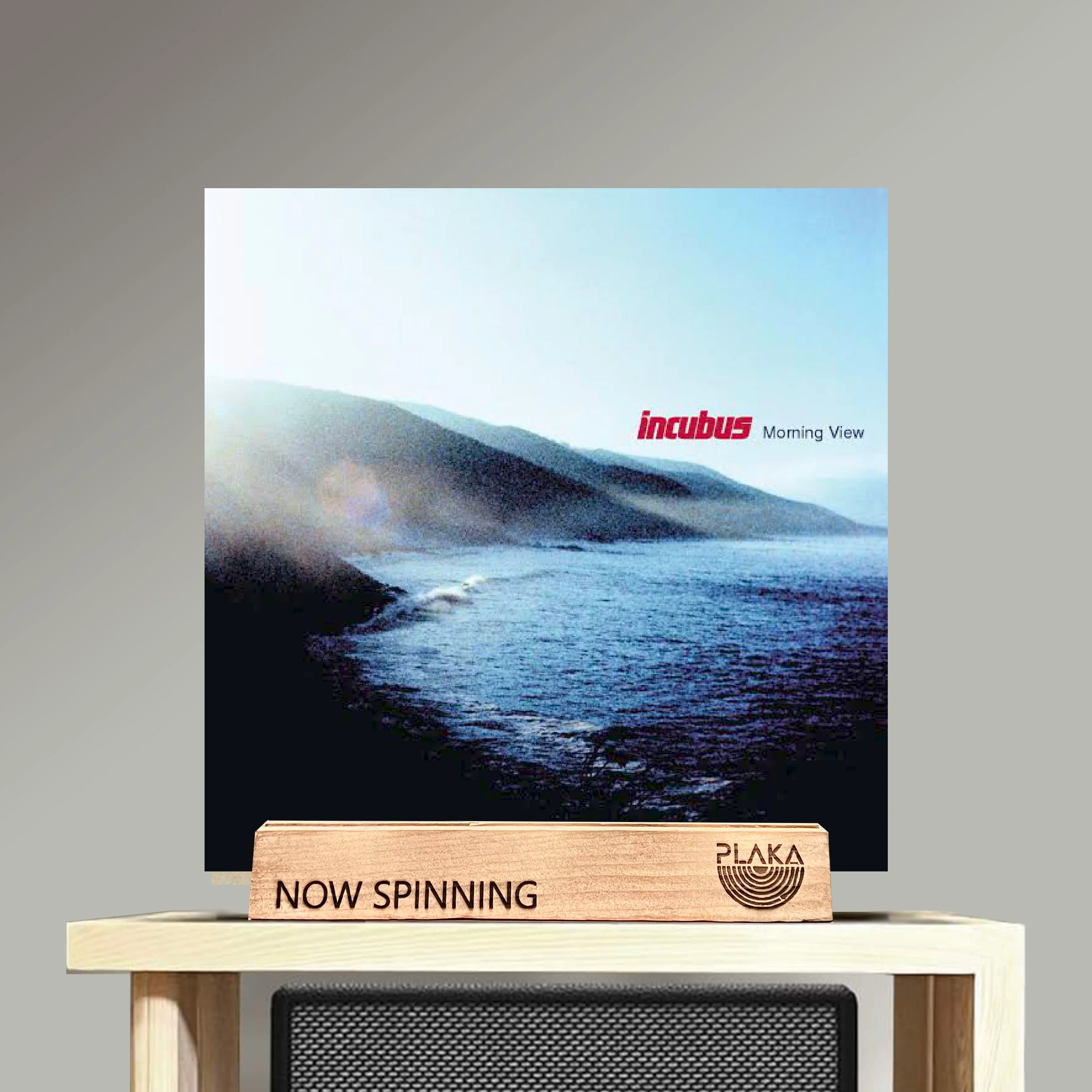 Incubus - Morning View