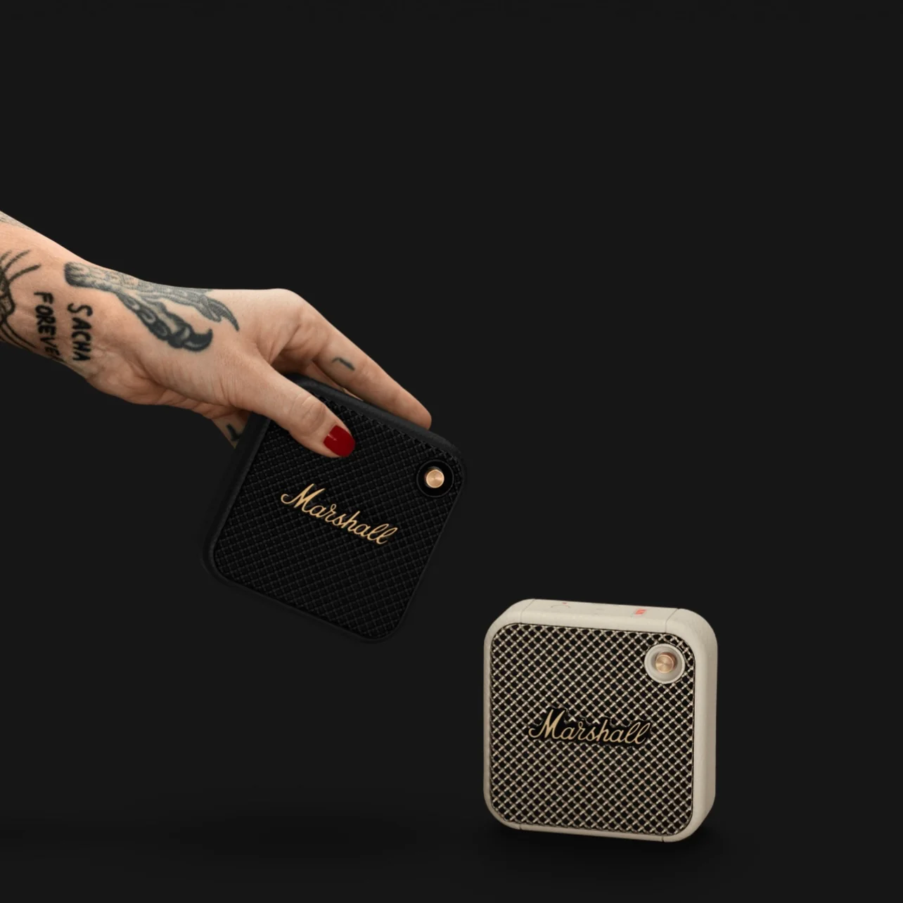 Marshall Willen Speaker (Message us to Check Availability) - Image 4