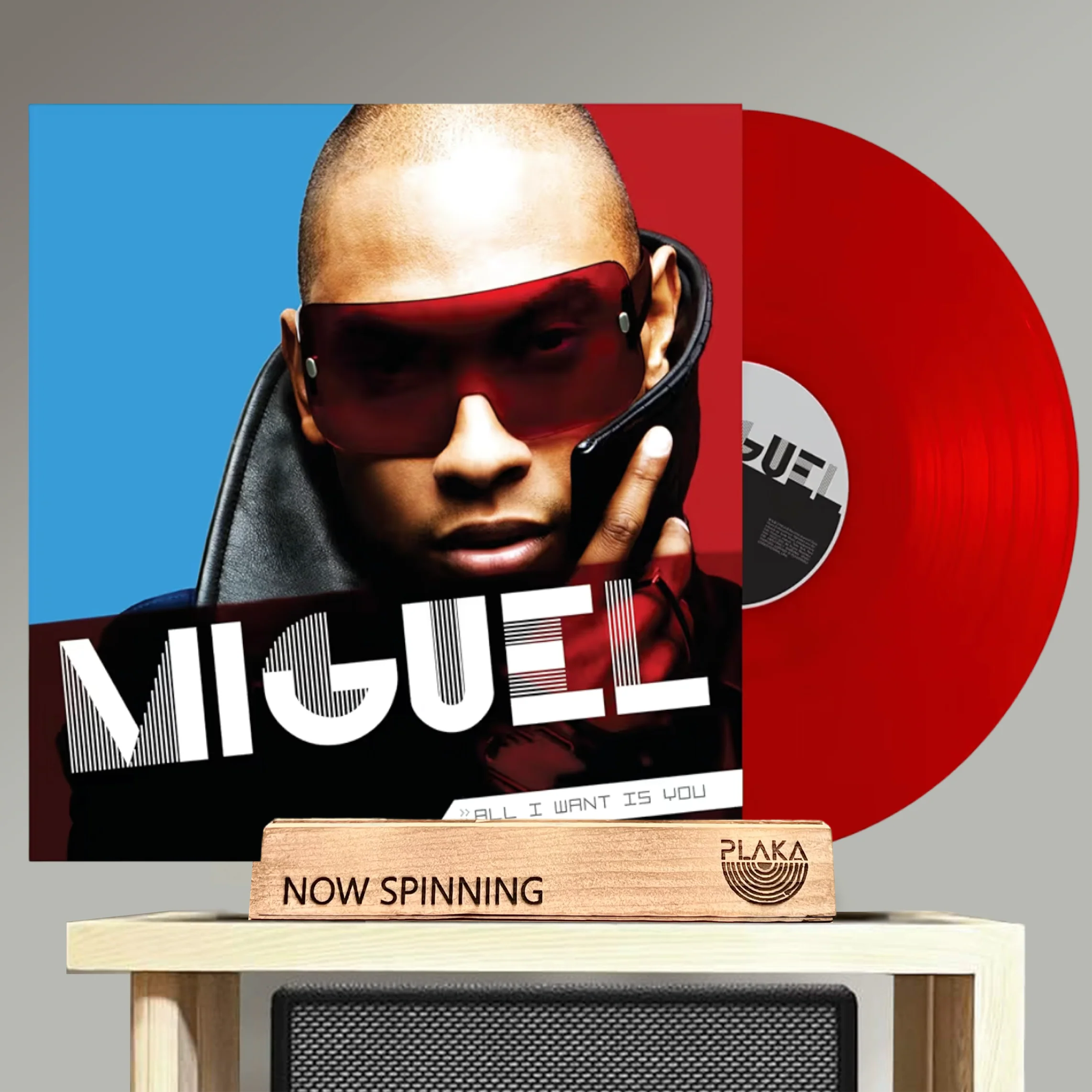 Miguel - All I Want Is You
