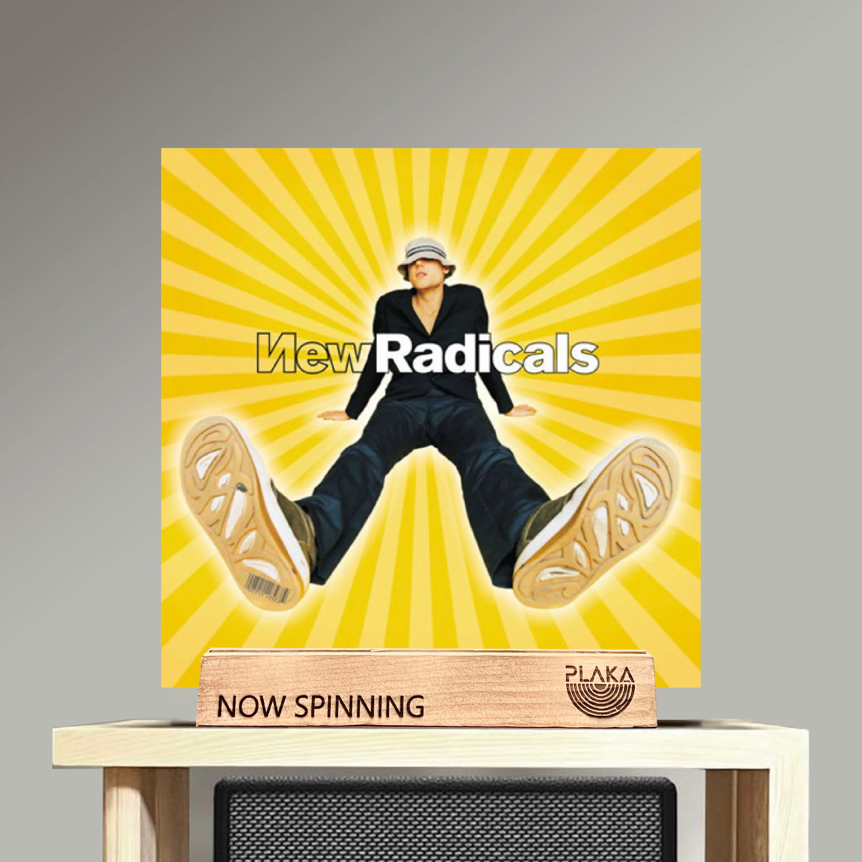 New Radicals - Maybe You'Ve Been Brainwashed Too