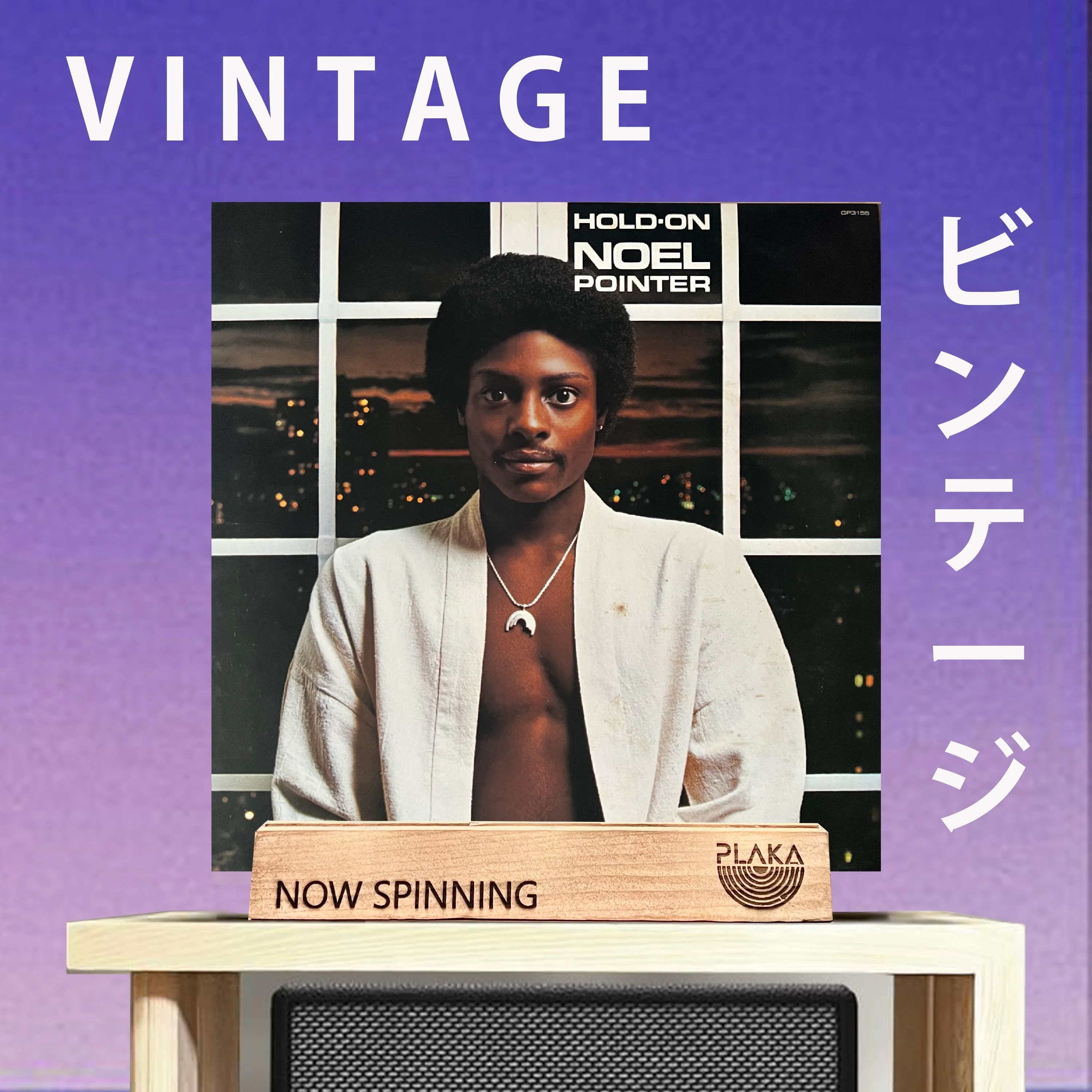 Noel Pointer - Hold On