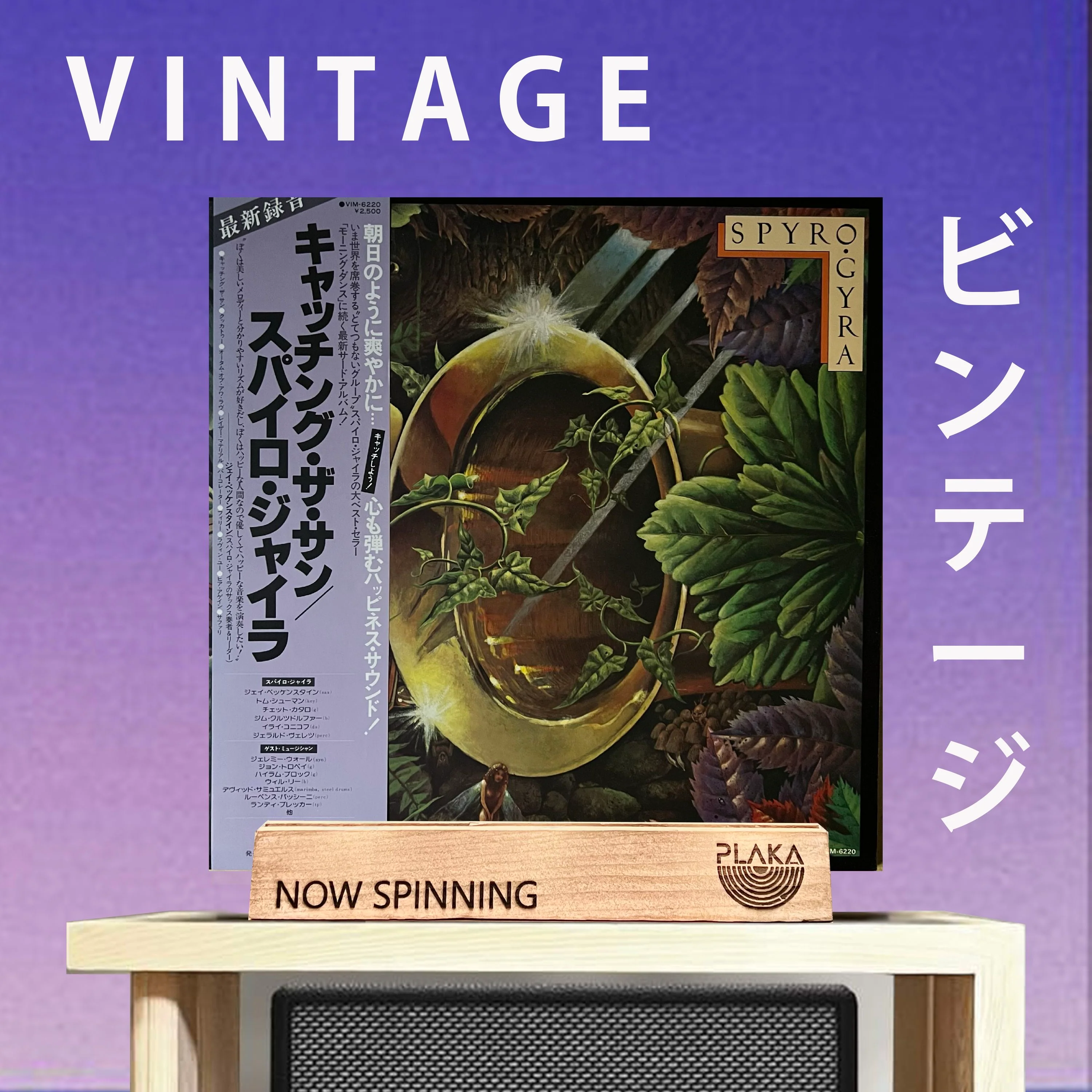 Spyro Gyra - Catching The Sun